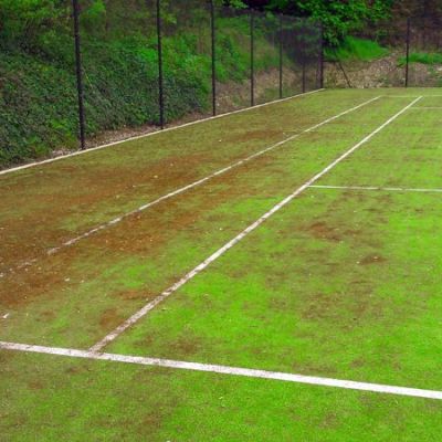 Tennis Court Moss Treatment - Before
